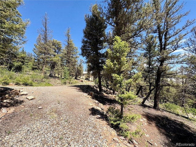 1720 Middle Fork Vis, Fairplay, CO 80440