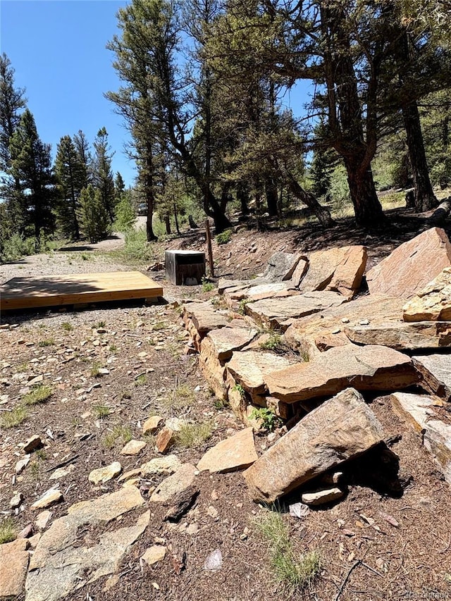 1720 Middle Fork Vis, Fairplay, CO 80440