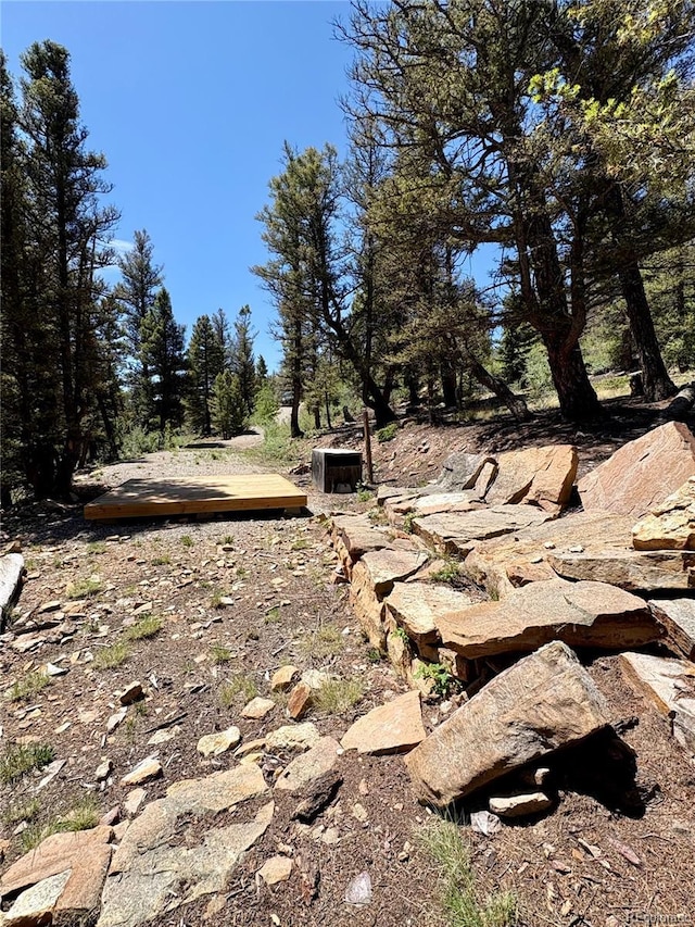 1720 Middle Fork Vis, Fairplay, CO 80440