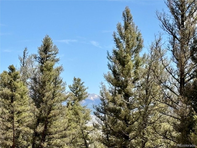 1720 Middle Fork Vis, Fairplay, CO 80440
