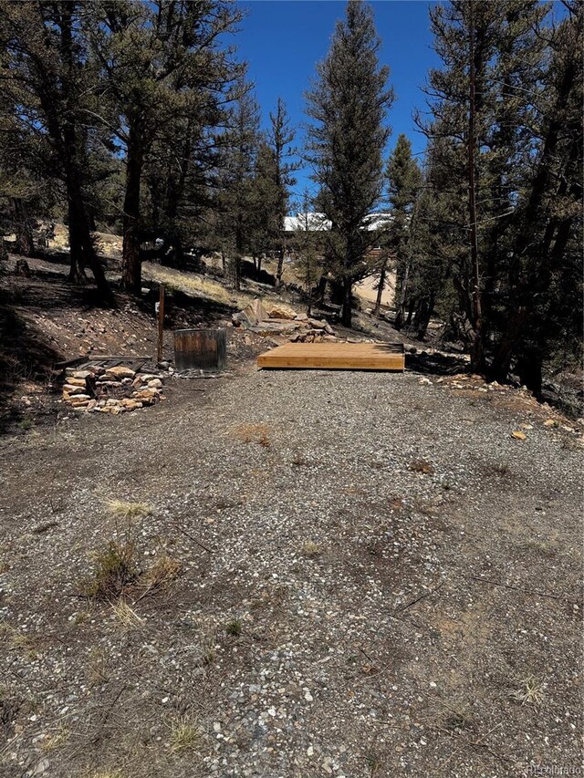 1720 Middle Fork Vis, Fairplay, CO 80440
