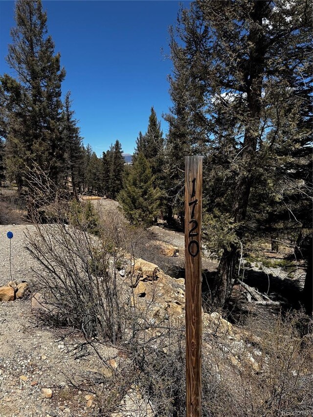 1720 Middle Fork Vis, Fairplay, CO 80440