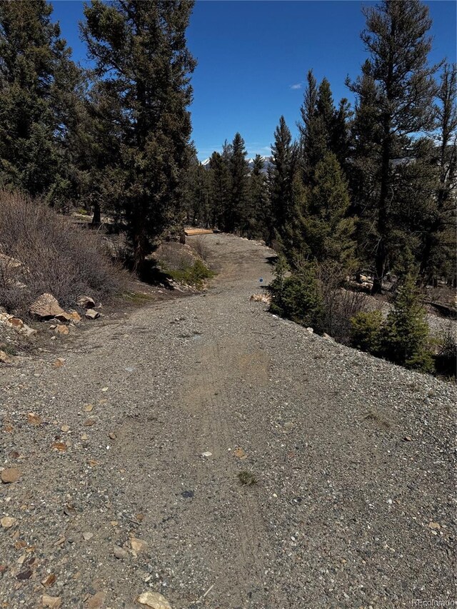 1720 Middle Fork Vis, Fairplay, CO 80440
