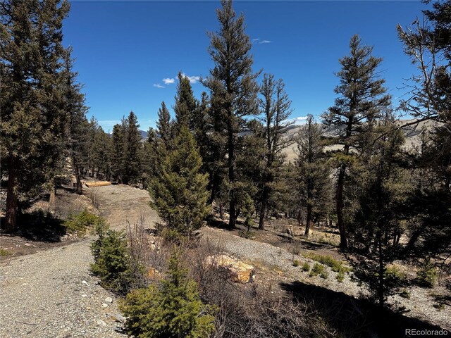 1720 Middle Fork Vis, Fairplay, CO 80440