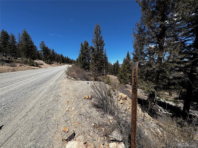 1720 Middle Fork Vis, Fairplay, CO 80440