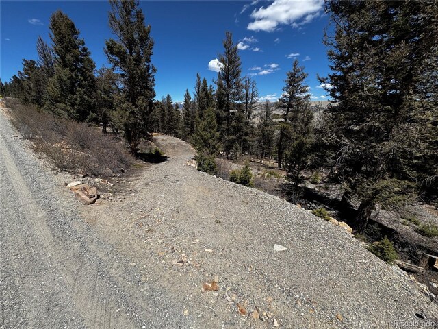 1720 Middle Fork Vis, Fairplay, CO 80440