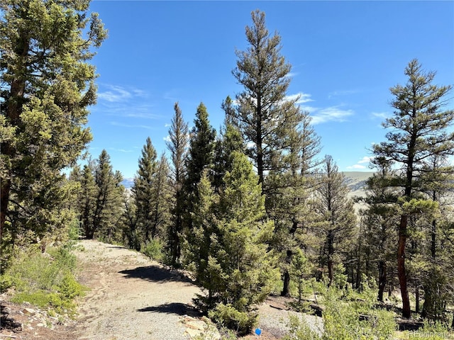 1720 Middle Fork Vis, Fairplay, CO 80440