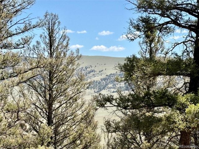 1720 Middle Fork Vis, Fairplay, CO 80440