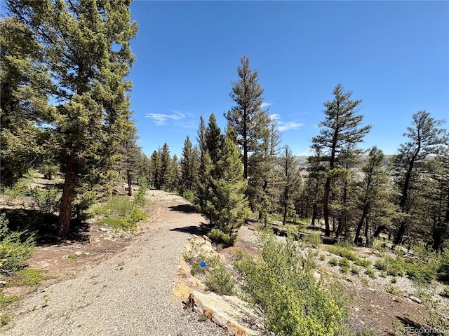 1720 Middle Fork Vis, Fairplay, CO 80440