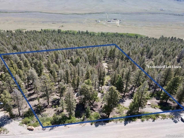 1720 Middle Fork Vis, Fairplay, CO 80440