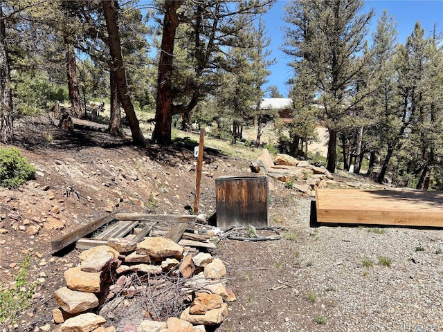 1720 Middle Fork Vis, Fairplay, CO 80440