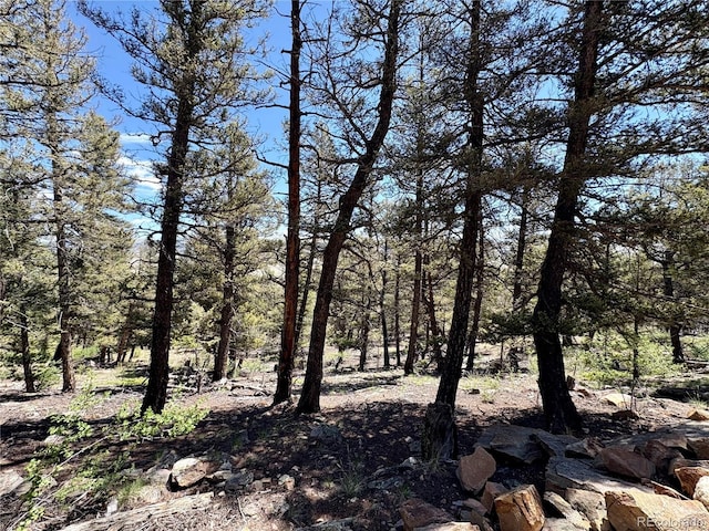 1720 Middle Fork Vis, Fairplay, CO 80440