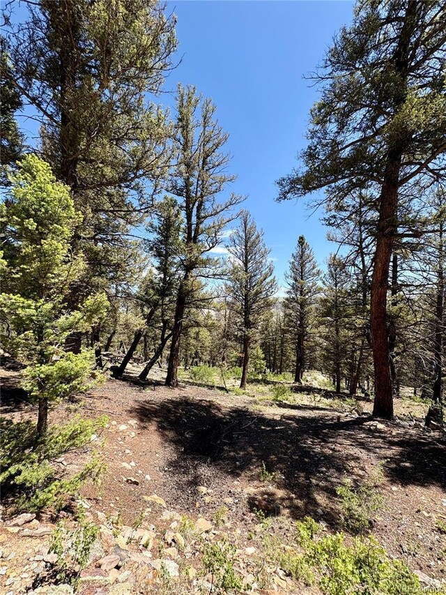 1720 Middle Fork Vis, Fairplay, CO 80440