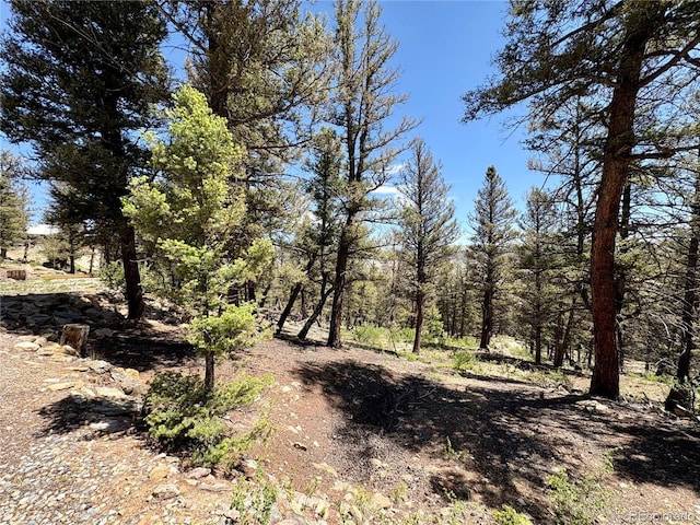 1720 Middle Fork Vis, Fairplay, CO 80440