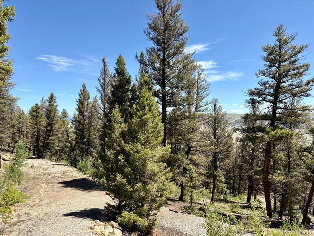 1720 Middle Fork Vis, Fairplay, CO 80440