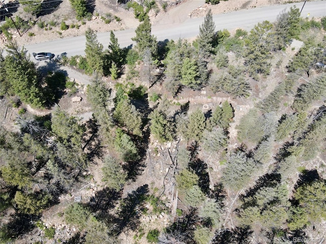 1720 Middle Fork Vis, Fairplay, CO 80440