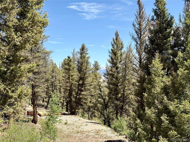 1720 Middle Fork Vis, Fairplay, CO 80440