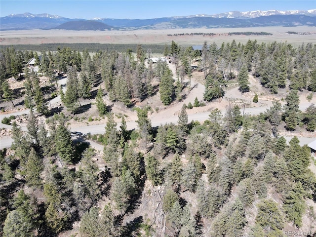 1720 Middle Fork Vis, Fairplay, CO 80440