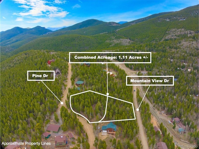 123 Pine Dr, Idaho Springs, CO 80452