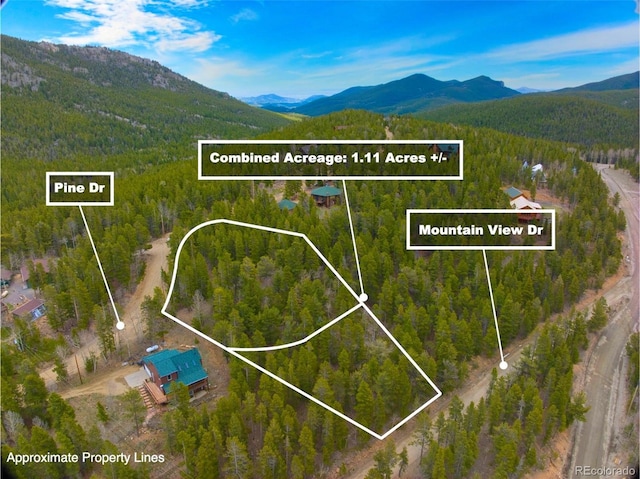 123 Pine Dr, Idaho Springs, CO 80452