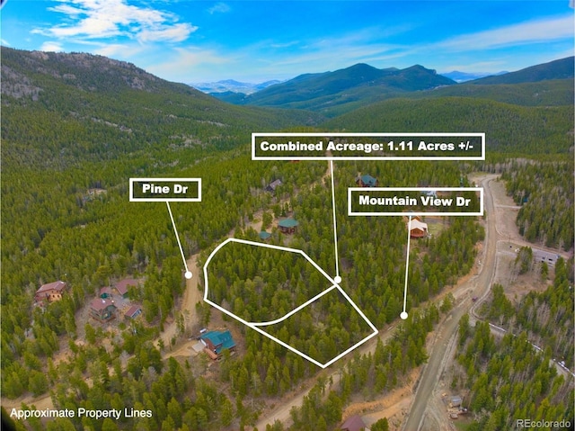 123 Pine Dr, Idaho Springs, CO 80452