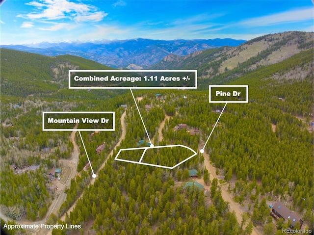 123 Pine Dr, Idaho Springs, CO 80452