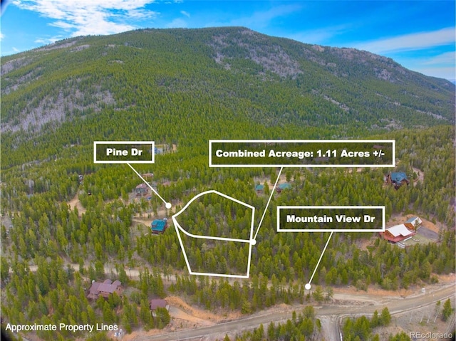 123 Pine Dr, Idaho Springs, CO 80452
