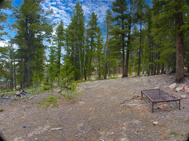123 Pine Dr, Idaho Springs, CO 80452