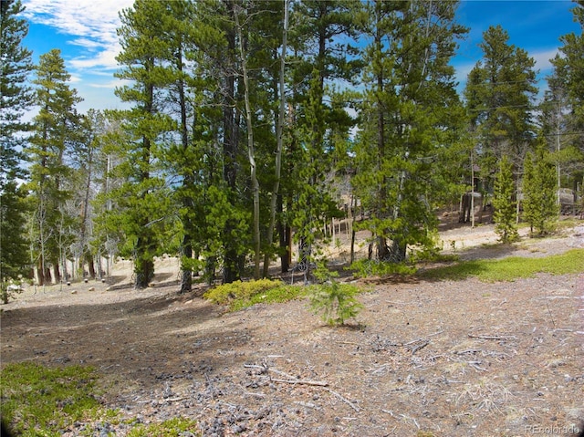 123 Pine Dr, Idaho Springs, CO 80452