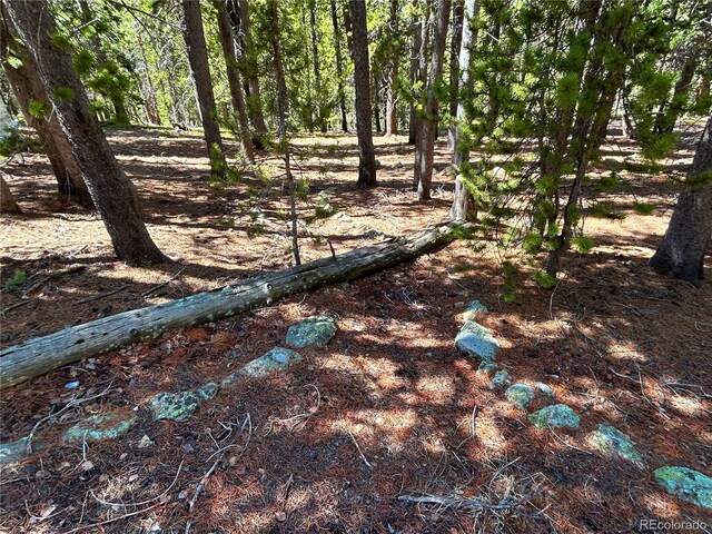 123 Pine Dr, Idaho Springs, CO 80452