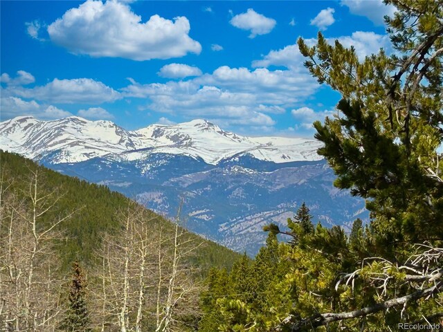 123 Pine Dr, Idaho Springs, CO 80452