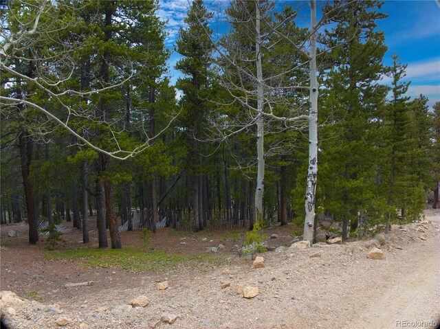 123 Pine Dr, Idaho Springs, CO 80452 - photo 15