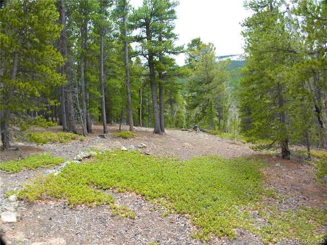 123 Pine Dr, Idaho Springs, CO 80452
