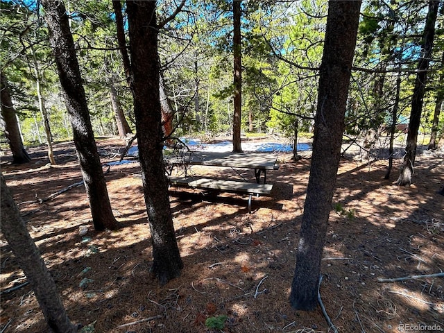123 Pine Dr, Idaho Springs, CO 80452