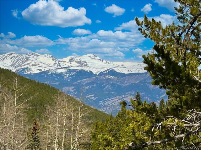 123 Pine Dr, Idaho Springs, CO 80452
