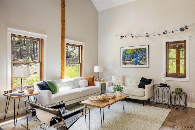 713 Rudi Ln, Golden, CO 80403 - living room featuring wood finished floors and high vaulted ceiling