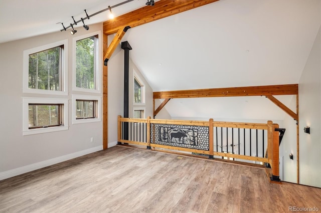 713 Rudi Ln, Golden, CO 80403 - additional living space with wood finished floors