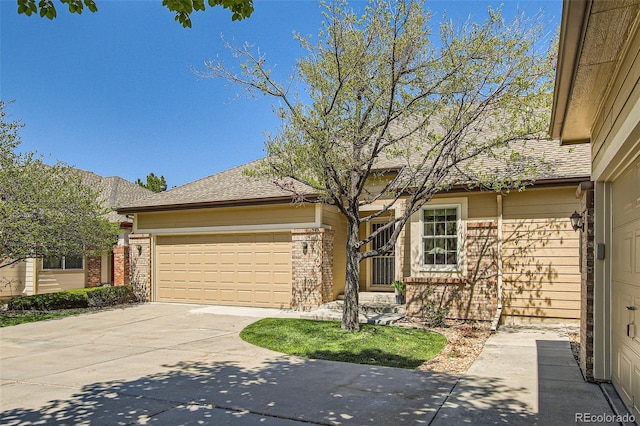6114 Salvia Ln, Arvada, CO 80403 - view of front of property featuring brick siding, concrete driveway, a garage, and a shingled roof