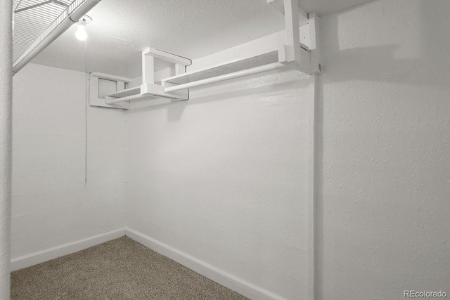 walk in closet featuring carpet