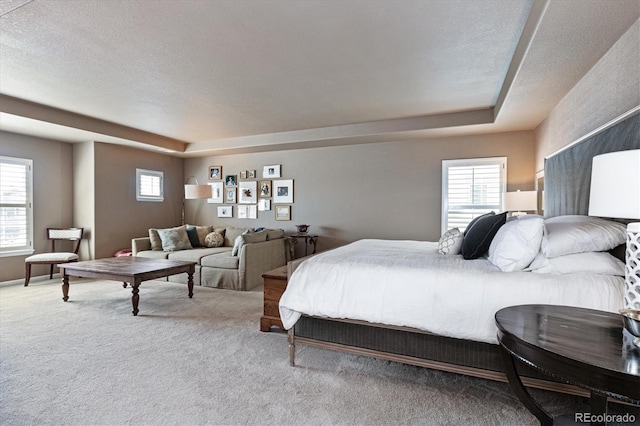 carpeted bedroom with multiple windows
