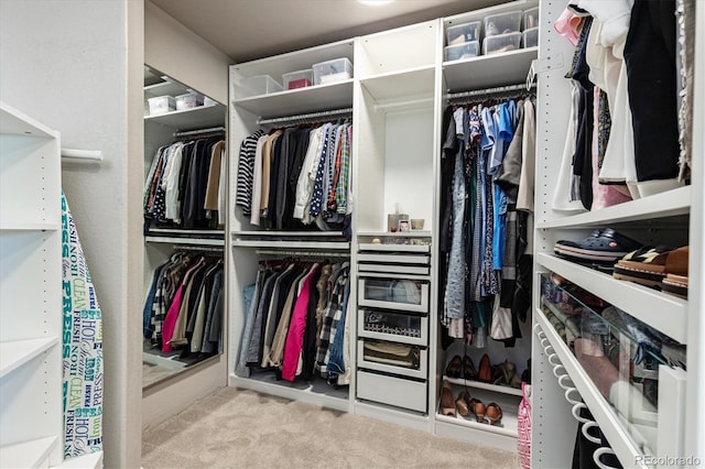 spacious closet with carpet