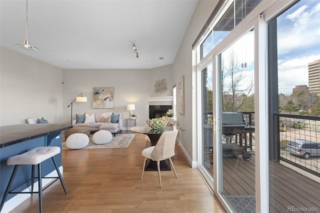 living area featuring light wood finished floors