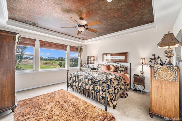 bedroom with a raised ceiling, ceiling fan, and carpet flooring