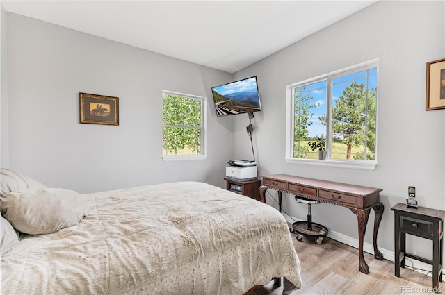 bedroom featuring light hardwood / wood-style floors