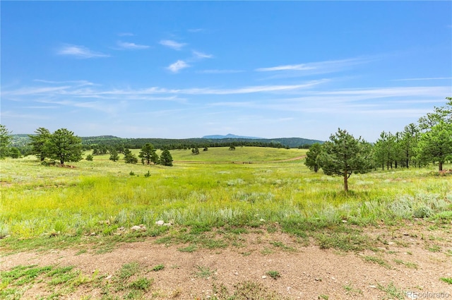 view of nature featuring a rural view