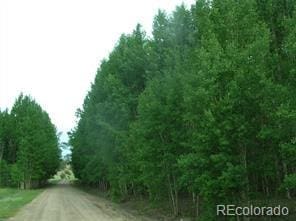 461 Superstition Trl, Hartsel CO, 80449 land for sale