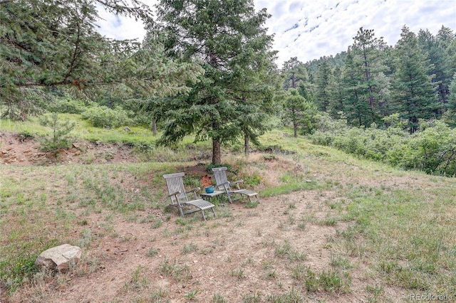 11802 S Maxwell Hill Rd, Littleton, CO 80127 - photo 10