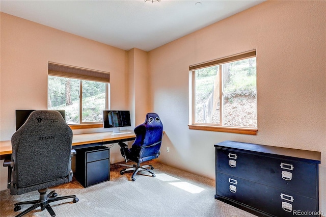 11802 S Maxwell Hill Rd, Littleton, CO 80127 - photo 23