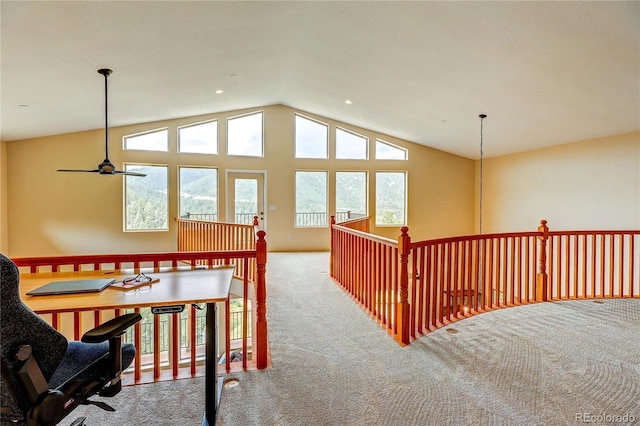 11802 S Maxwell Hill Rd, Littleton, CO 80127 - photo 27