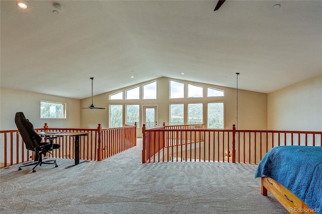 11802 S Maxwell Hill Rd, Littleton, CO 80127 - photo 33
